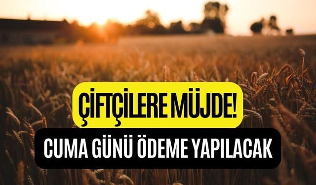 Çiftçiyseniz Hemen Bakın! 17 Mayıs Cuma Saat 18'den Sonra Ödeme Yapılacak