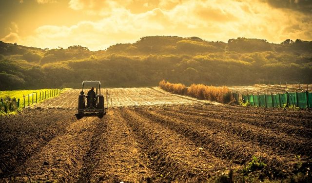 Gübre Yardımı Verildi! Çiftçilere Mayıs Ortasında Yardım İletildi