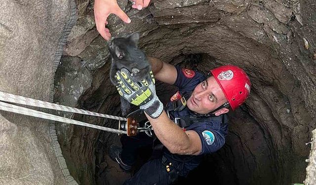 Kayseri İtfaiyesi, 20 Metrelik Kuyuda Mahsur Kalan Yavru Kediyi Kurtardı