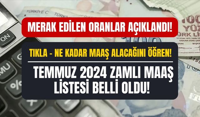 Oranlar Geldi Memur Maaşları Hesaplaması Yapıldı! İşte Temmuz 2024 Zamlı Maaş Listesi