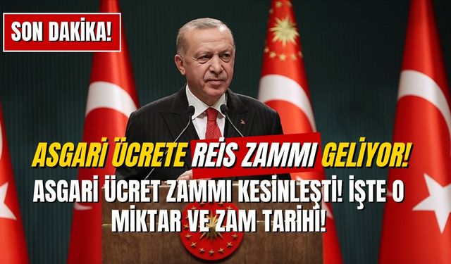 Asgari Ücrete “Reis” Zammı Gelecek! Temmuz’da Beklenen Asgari Ücret Zammı Meğer O Aydaymış!