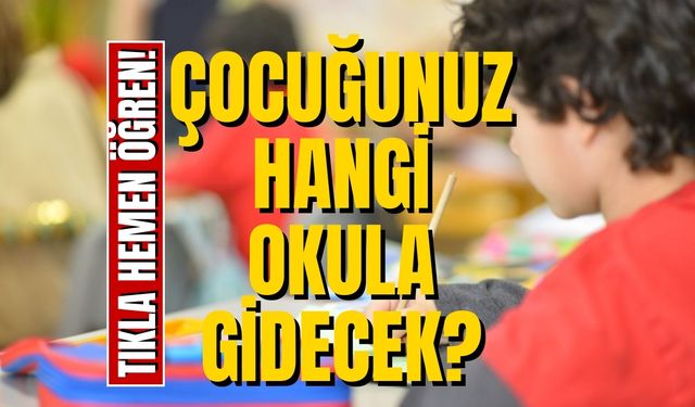 Çocuğum Hangi Okula Gidecek Diyen Veliler Dikkat! MEB Adrese Dayalı Kayıt (e-Kayıt) Sorgulama Açıldı