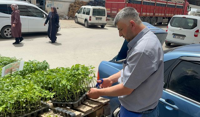 Yozgat Yerköy’de Sebze Fidesi Telaşı