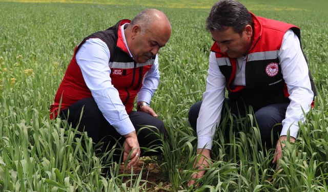 İl Müdürü Yıldız’dan Çiftçilere Uyarı: “Hastalıklar Verim ve Kaliteyi Düşürür”