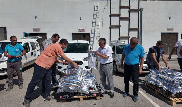 Büyükşehir’den Sokak Hayvanlarına Eğitim ve Destek