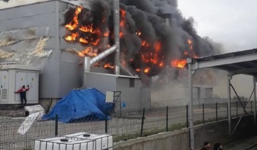 Kayseri’de fabrika yangını!