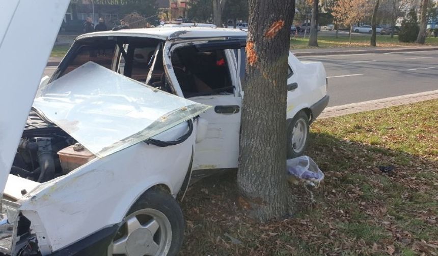 Kaza yapan araç refüjdeki ağaca çarparak durabildi