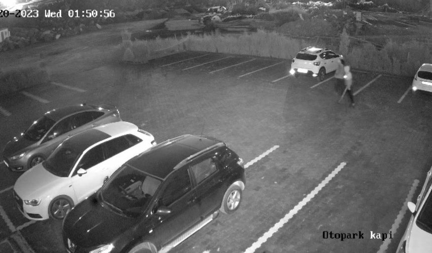 Hırsızları yakalamak için 250 saatlik kamera görüntüsü izlediler