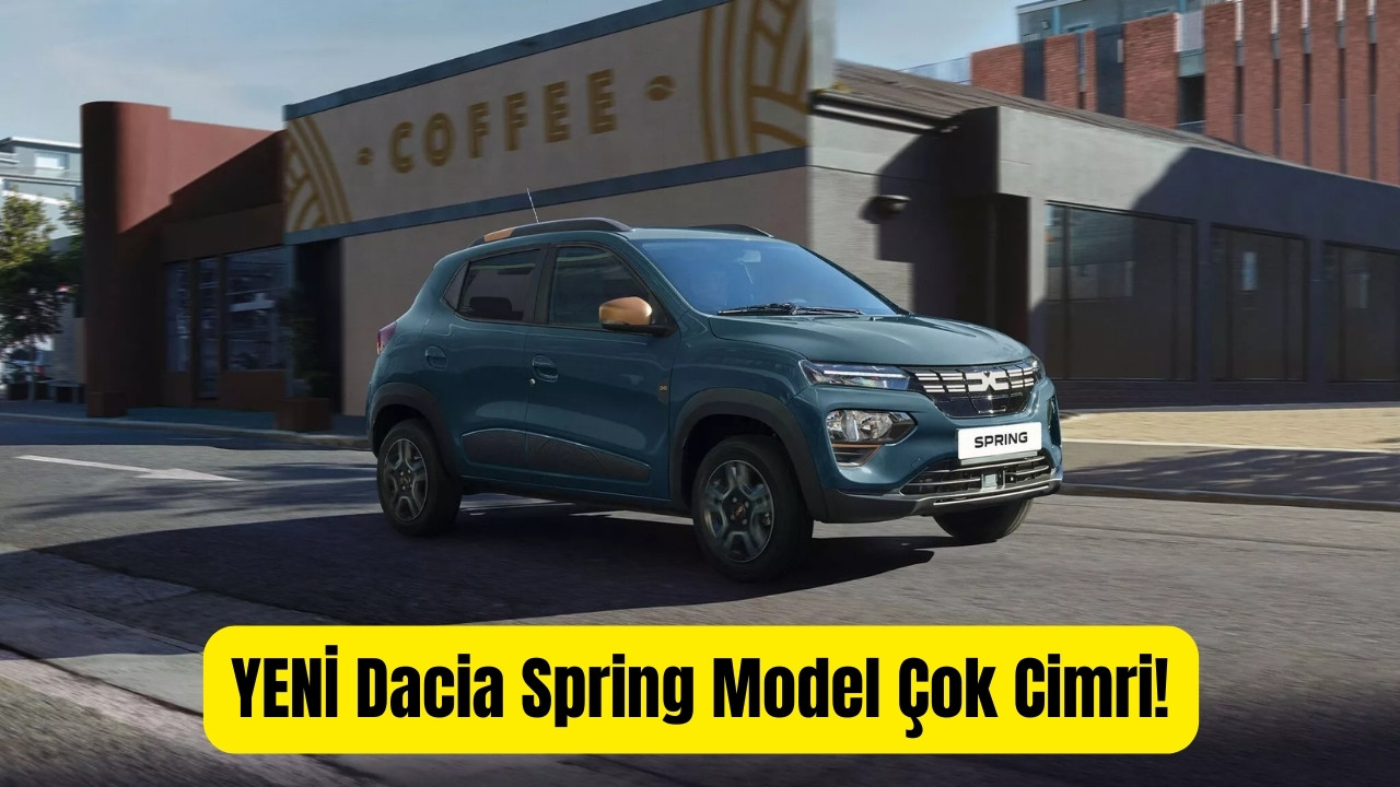 Dacia Spring (3)