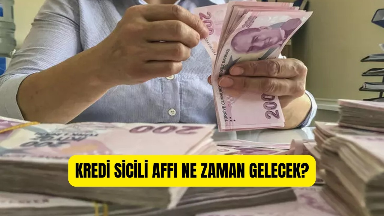 Kredi Sicil Affi 2024 (1)